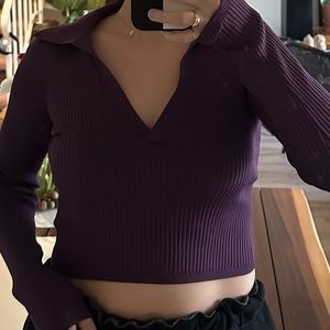 Aritzia Babaton Sculpt Knit Polo Longsleeve